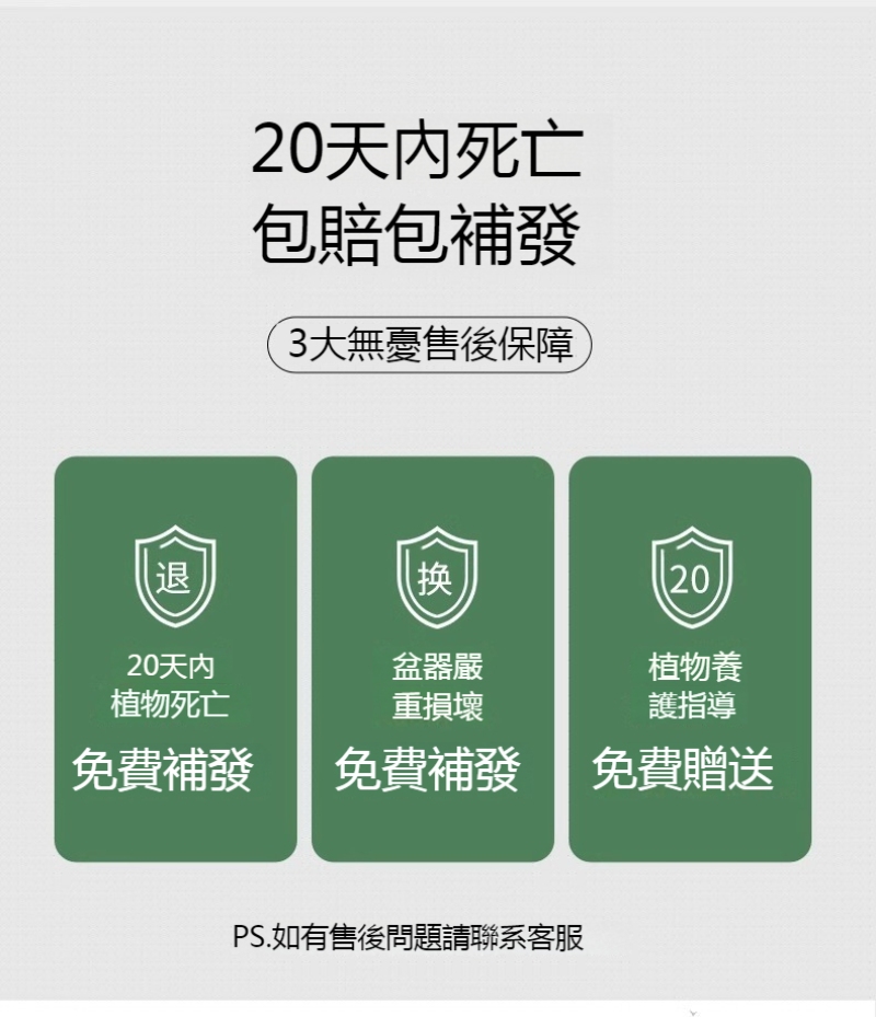 1747212825783297.jpg