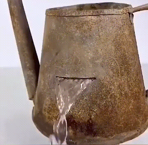 1747385035338163.gif