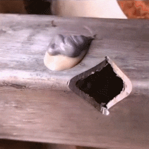1747385041328865.gif