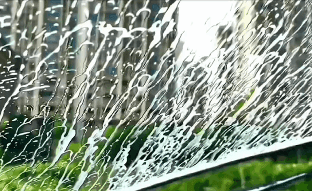 1750313246370476.gif
